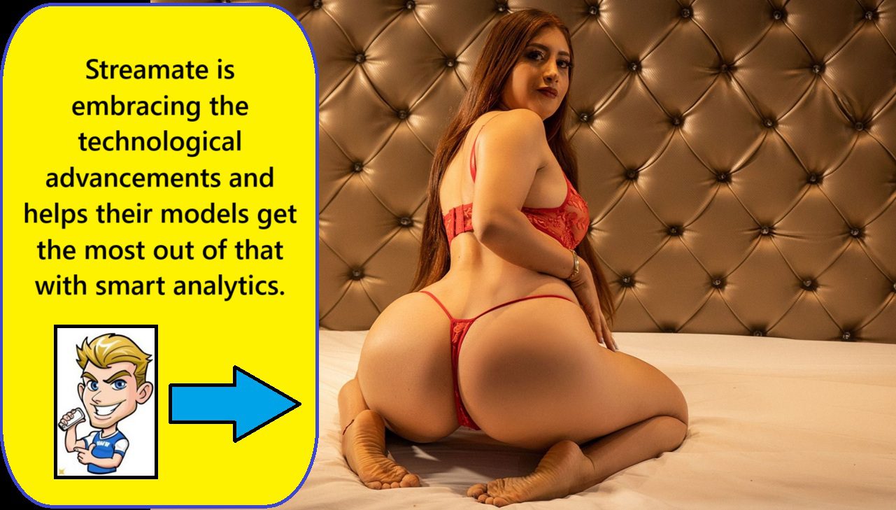streamate AI streamate AI